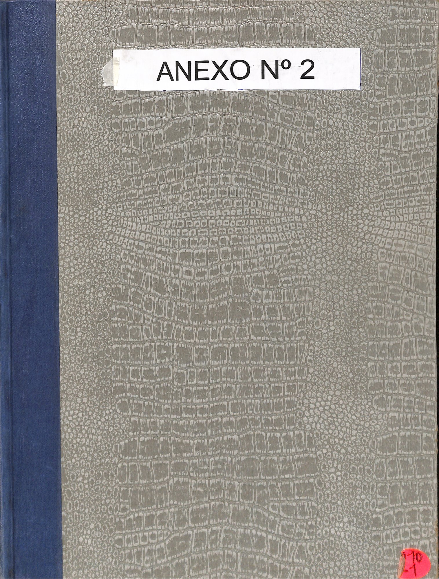 Portada de Anexo Nº2