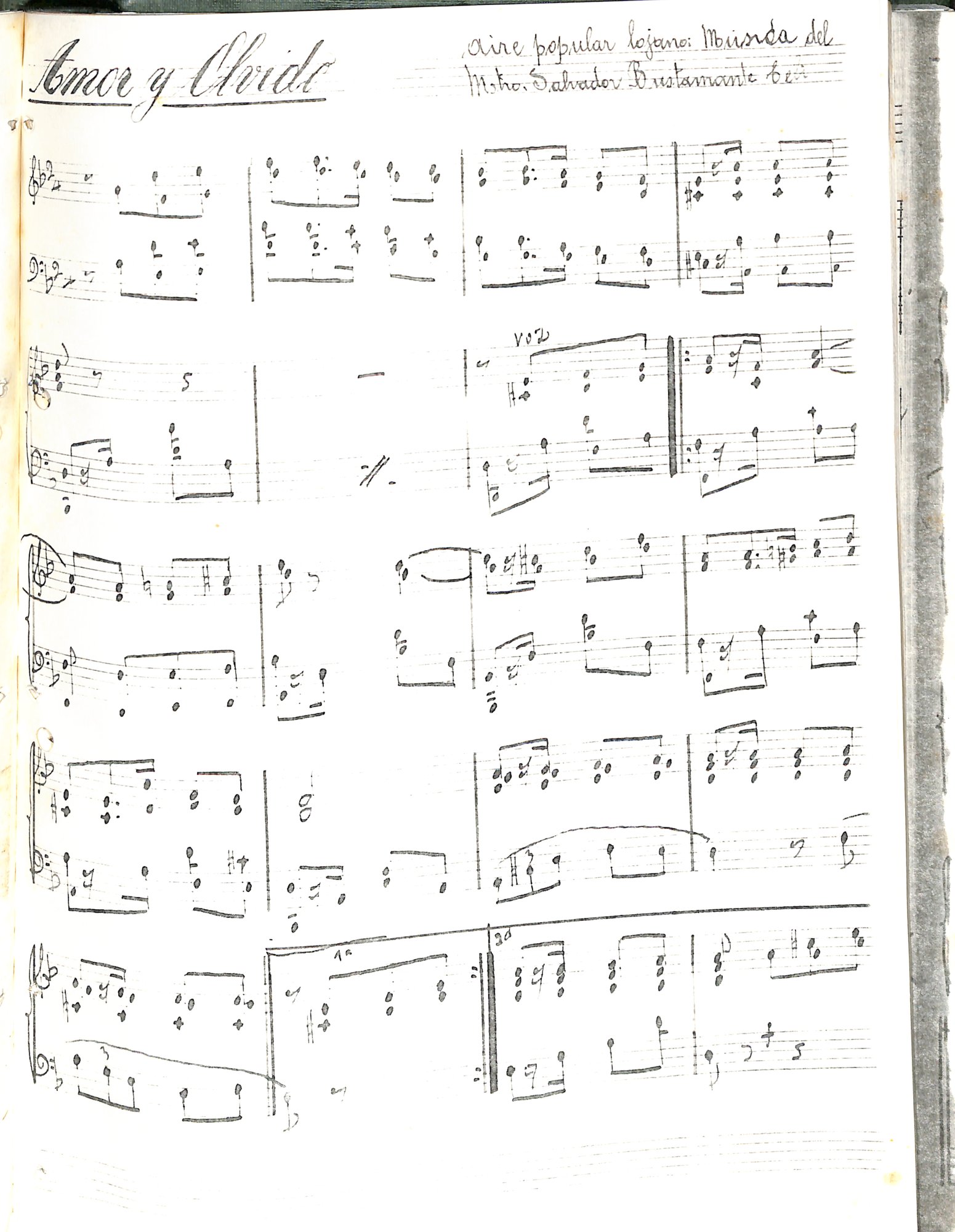 Portada de Amor y Olvido