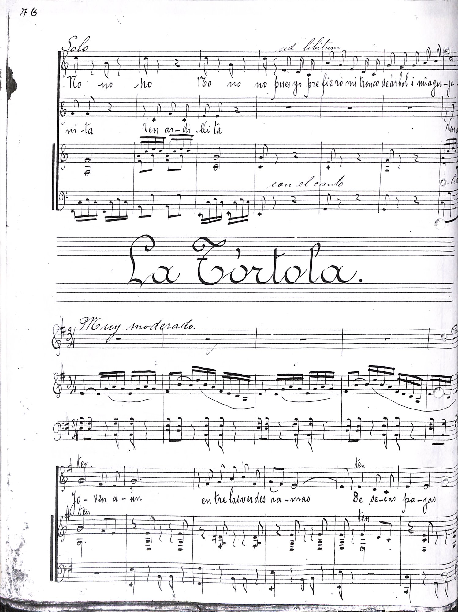 Portada de La tórtola