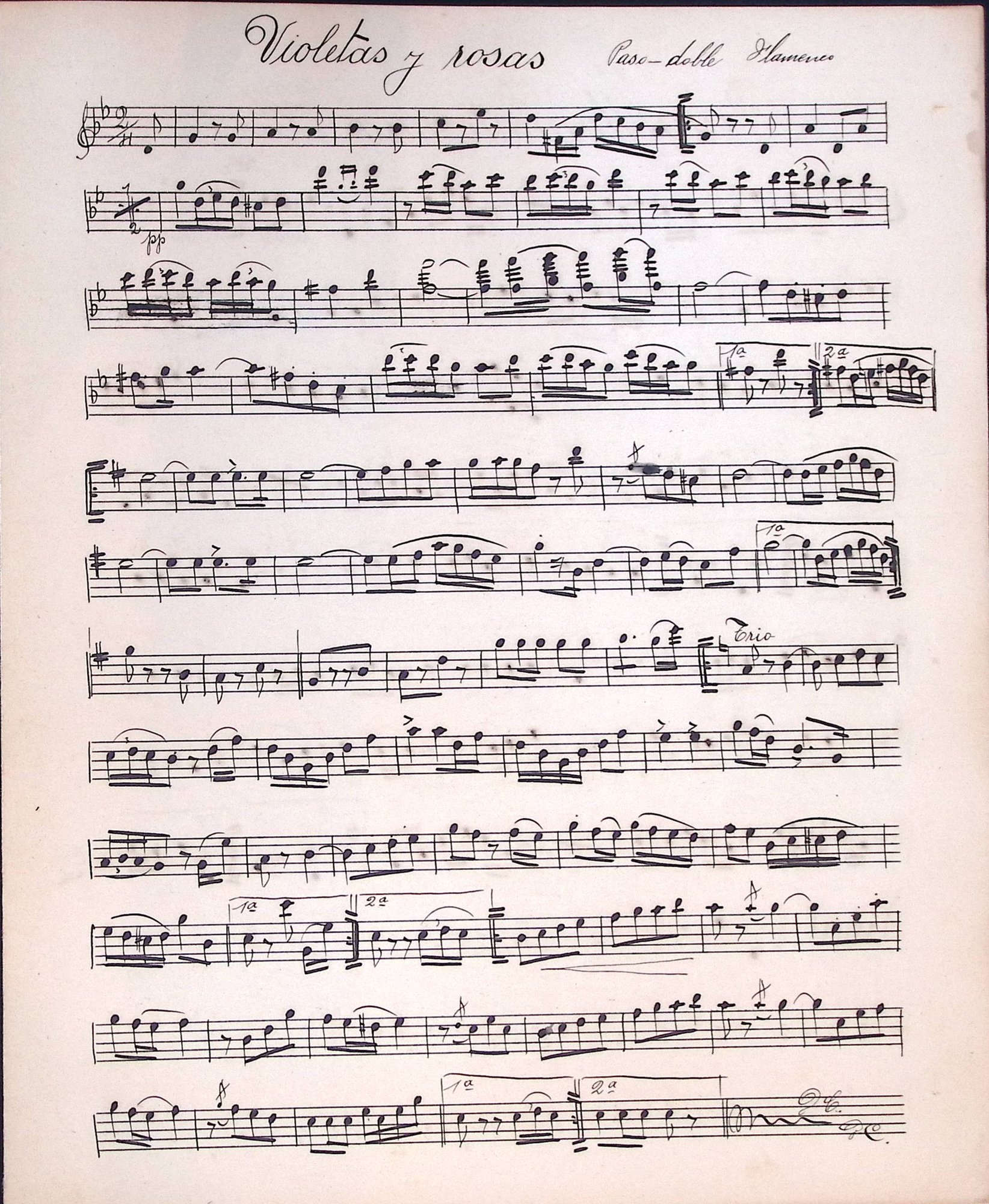 Portada de Violetas y rosas