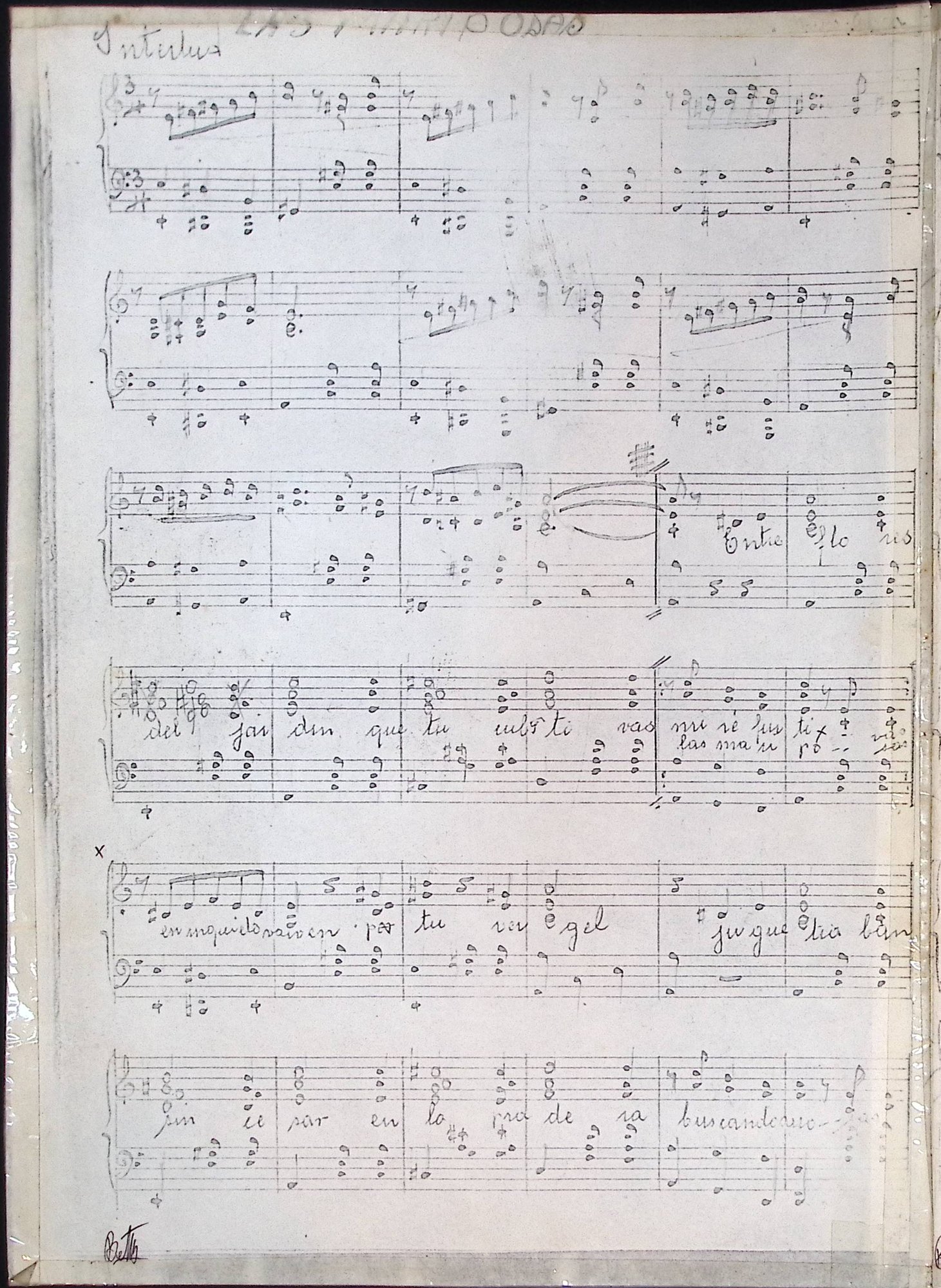 Portada de Las mariposas