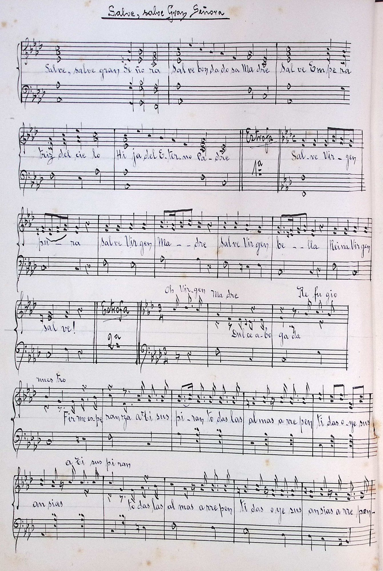 Portada de Salve, salve gran señora